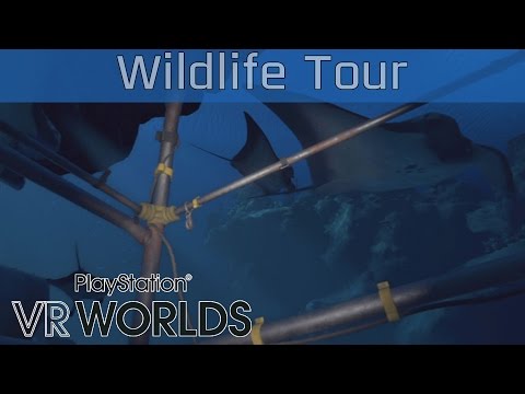 PlayStation VR Worlds - Ocean Descent: Wildlife Tour Gameplay [HD 1080P/60FPS]