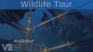 PlayStation VR Worlds - Ocean Descent: Wildlife Tour Gameplay [HD 1080P/60FPS]