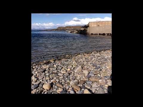 [FREE] ambient midwest emo x nothing, nowhere. x skele type beat - always you.