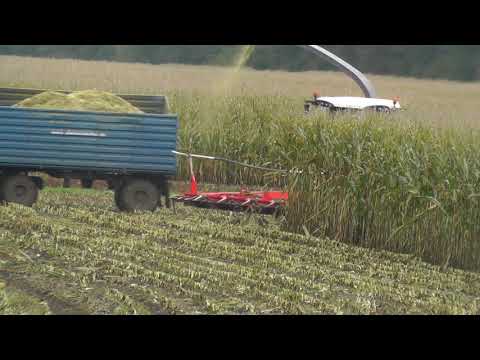 Kurzfilm Maisernte und Jagd