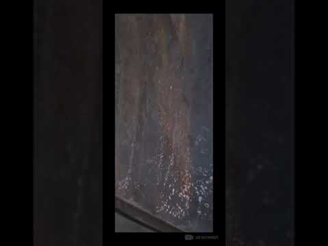 Cantante beny jr de barcelona