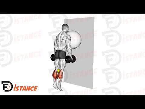 Élévations des mollets avec ballon (Swiss Ball) contre le mur - Exercice Élévations des mollets avec ballon (Swiss Ball) contre le mur en vidéo Élévations des mollets avec ballon (Swiss Ball) contre le mur - Exercice Élévations des mollets avec ballon (Swiss Ball) contre le mur en vidéo