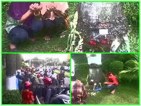 Ustad Jefri Mninggal Dunia Pohon Palem Kecelakaan Jadi Tempat Syirik