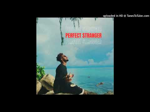 Cottsii - Perfect Stranger (Audio)