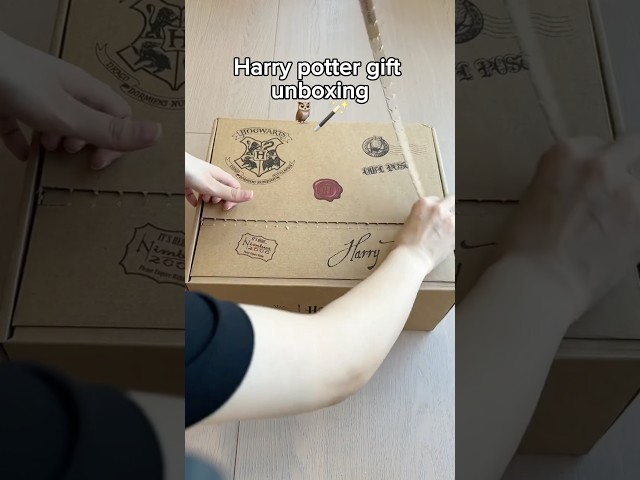 Vídeo relacionado con Harry Potter Caja de regalo tamaño mediano (HPGB0370)