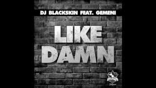 DJ BLACKSKIN ft GEMENI - LIKE DAMN