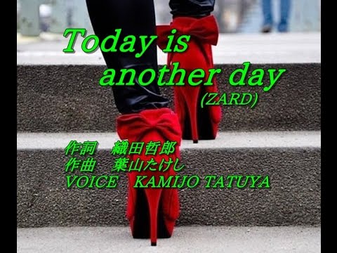 Yawara! Special: Zutto Kimi no Koto ga... Today is another day ZARD