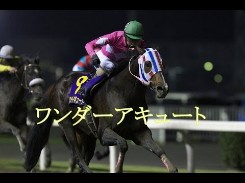 帝王賞　ワンダーアキュート　大井競馬　2014