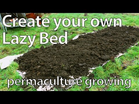 download lagu mp3 mp4 Permaculture Raised Beds, download lagu Permaculture Raised Beds gratis, unduh video klip Permaculture Raised Beds