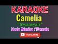 Camelia Karaoke Nada Wanita Female Irwansyah