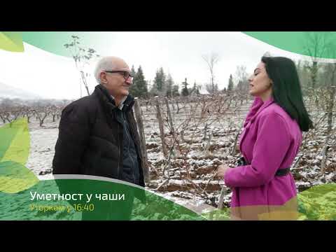 Umetnost u čaši ep. 166 10.01.2023. NAJAVA