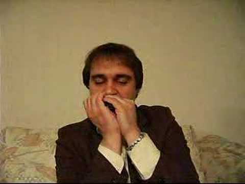 Todd Parrott - Meisterklasse Harmonicas (Non-MS)