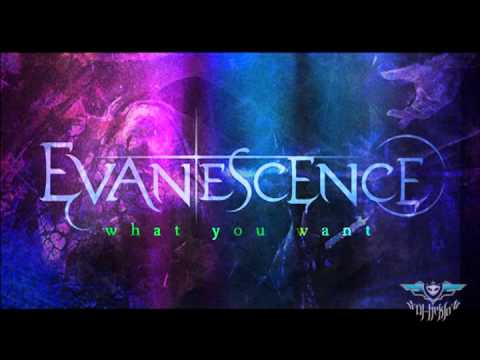 Evanescence - What You Want Vs Sins in Vain - Borderline / [HDK] Edition