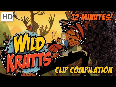Wild Kratts - Insects and Critters