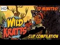 Wild Kratts - Insects and Critters