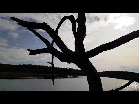 Gampers Paradise #1   Wiht Pekas Pesca #fishing #fish #travel #pesca 