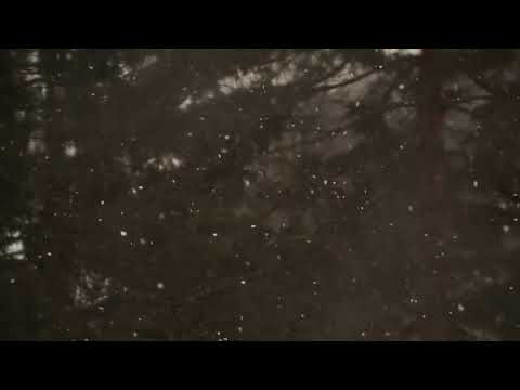 [FREE] Architects x Northlane Type Beat - "Falling" (Prod. by Matt Browning)