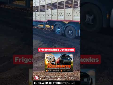 🟣 Frigerio: Rutas Detonadas. Está es la Ruta 1 entre San Jaime y Feliciano, Entre Ríos