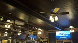 Fanimation Hubbardton Forge Ceiling Fans in Rochester, NY.