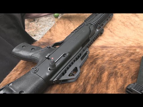 Hi-Point 1095 Carbine 10mm