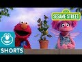Sesame Street Elmo And Abby Water A Plant