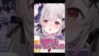 酔っぱらって口を滑らせるパトラ【周防パトラ/切り抜き】