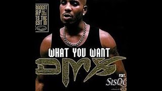 DMX - What You Want