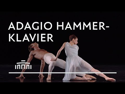 Adagio Hammerklavier - Hans van Manen - Dutch National Ballet