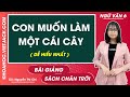 Con muốn làm một cái cây - Ngữ văn lớp 6 - Chân trời sáng tạo