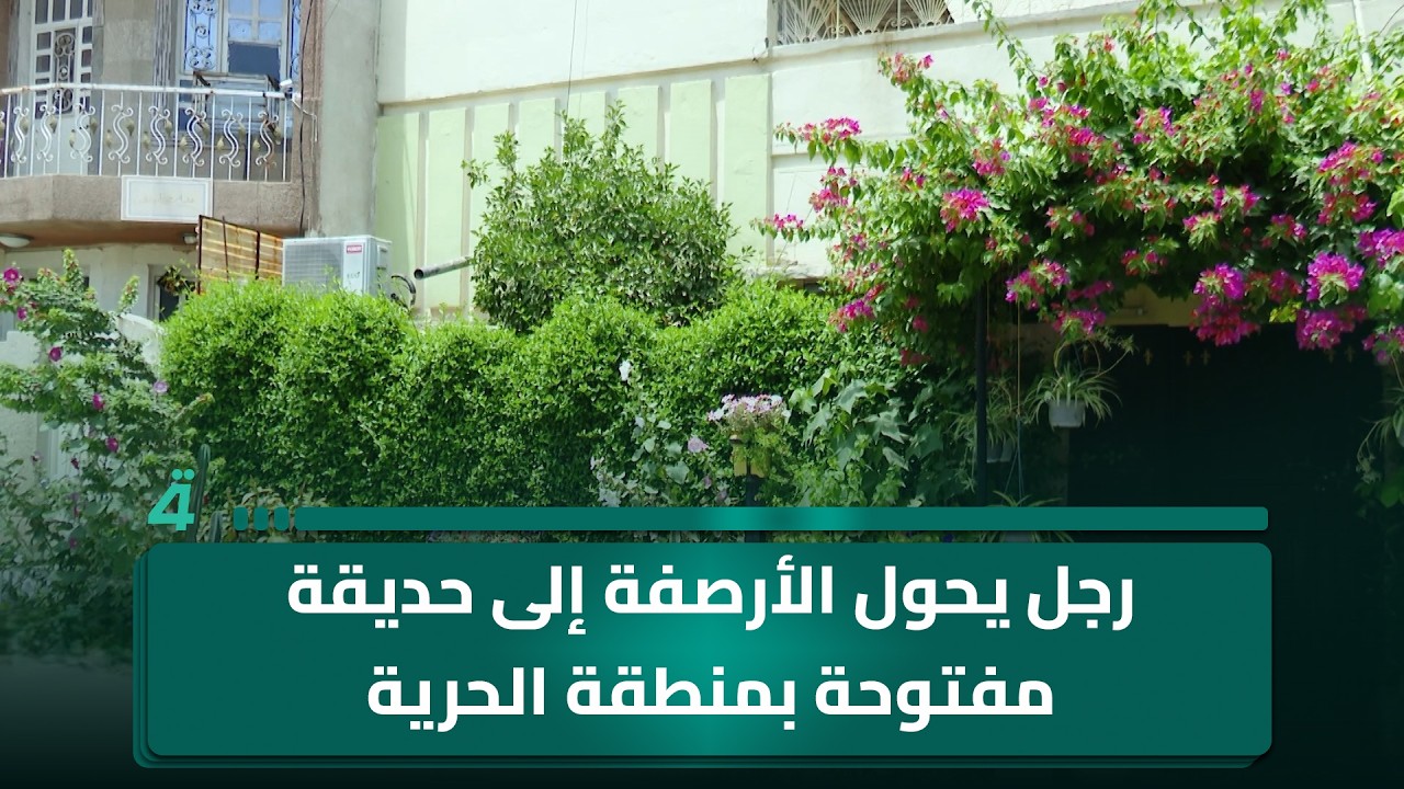 فيديو | رجل يحول الأرصفة إلى حديقة مفتوحة بمنطقة الحرية في بغداد