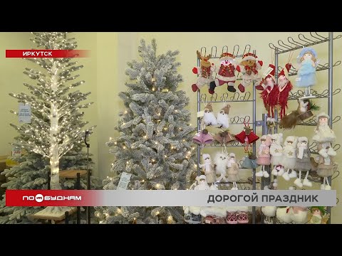 Корреспондент НТС выяснила, сколько заплатят иркутяне за ёлку к Новому году