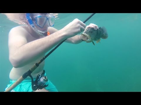 GoPro: Jordan Hernandez - Best Catch 7.15.15 - Fish