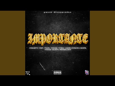 IMPORTANTE (feat. Joansito kief, Young Thian, Lamelodiadelhampa, YoungGlizzy & Renaglock)