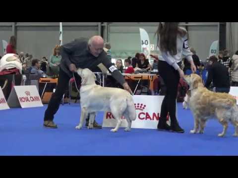 DUOCACIB Brno 2.2.2020  -  GR female working class