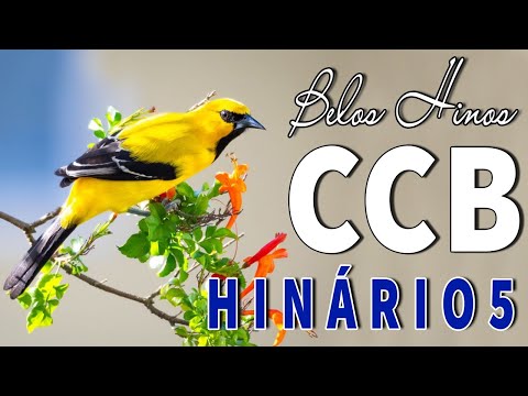 Hinos CCB 2023 - As Melhores Hinos CCB Para Ouvir Pela Manhã - A Melodia Do Hino Ccb Acalma A Alma