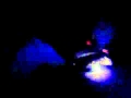 Fireflies 2009
