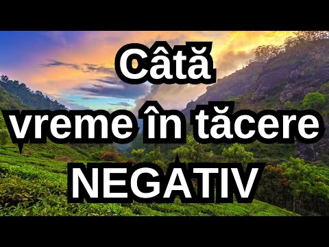 Câtă vreme în tăcere - NEGATIV