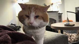 Download lagu Cmere mp3