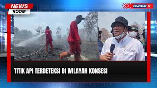 335 Perusahaan Terindikasi Miliki Titik Api, 85 Ribu Hektare Terbakar