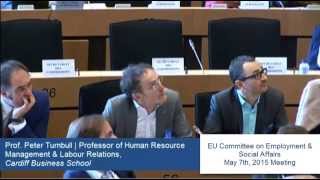 Atypical Aviation Employment - EU Committee Employment and Social Affa