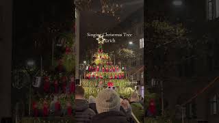#singingchristmastree #switzerland #zurich #christmas#christmassong #スイス #チューリッヒ #スイス旅行#クリスマス #海外旅行