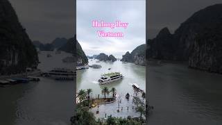 Halong Bay cruise vietnam 🇻🇳 #vietnam #trending #travel #halongbaycruise #viral #hanoi