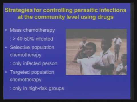 Petesejtek és paraziták kezelése