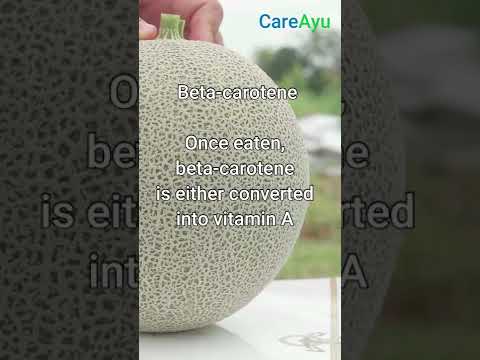 Cantaloupe: Health benefits and nutrition
