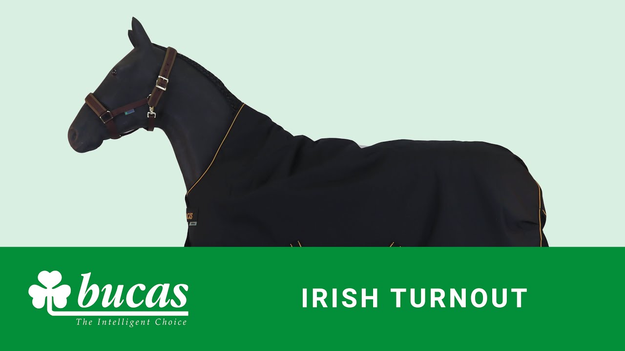Bucas - Irish Turnout