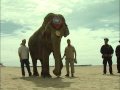 Minnie The Elephant MartyMarkowitz Children RinglingBros ConeyIsland BrightonBeac