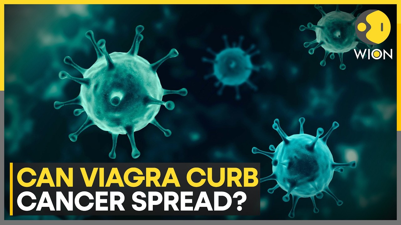 Viagra Likely To Curb Cancer Spread: Scientists Find Promising Evidence | WION News