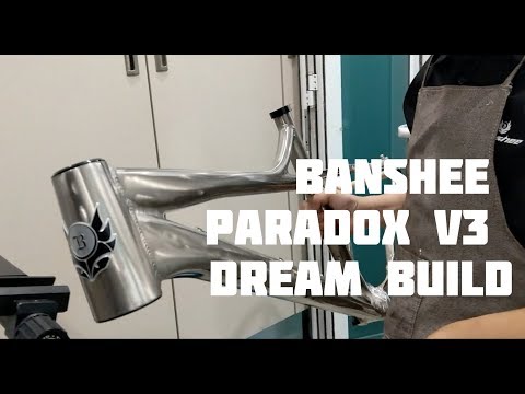 Banshee Paradox V3 Dream Build
