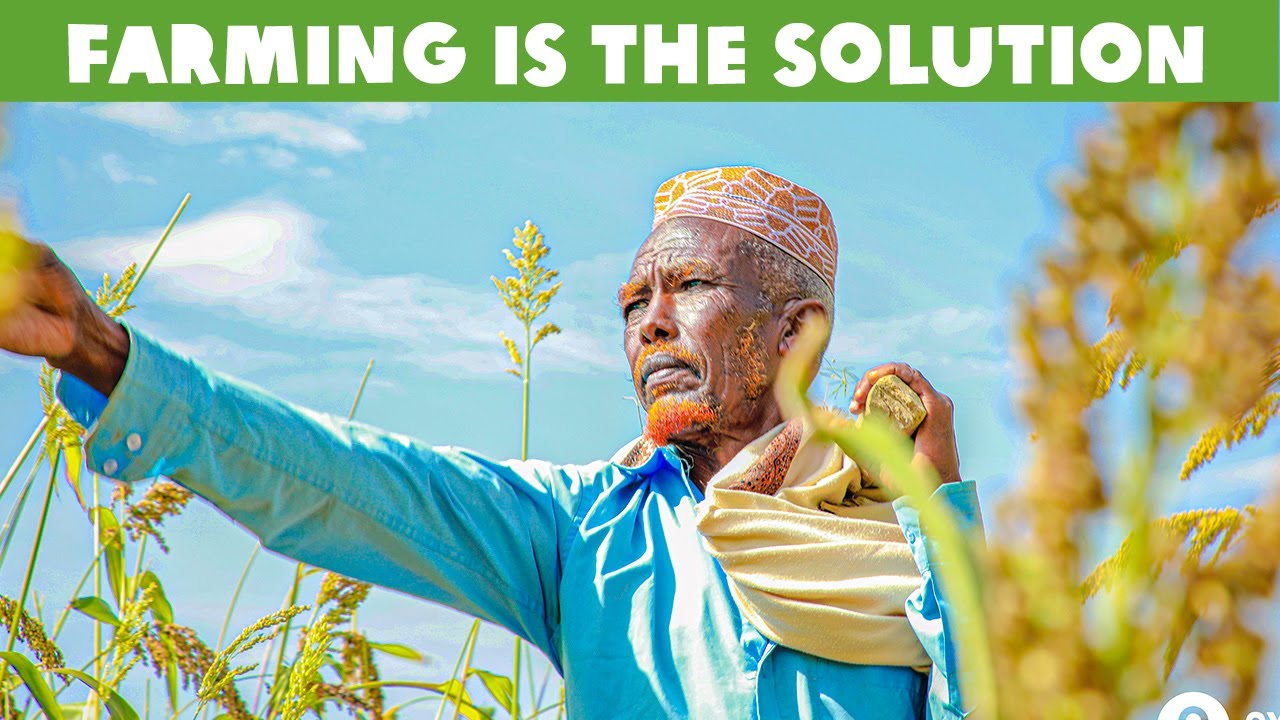 My family Didn't Have to Migrate - Story about Farming and Hope in Sanag region