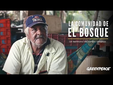 Así se viven las consecuencias del cambio climático, testimonio El Bosque - Greenpeace México